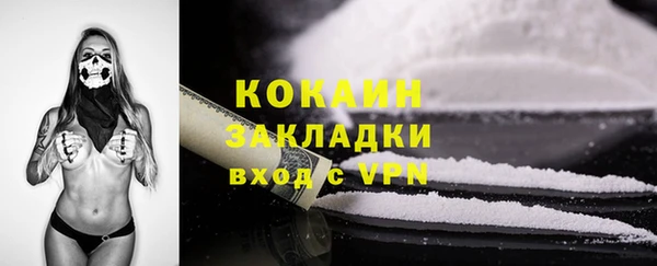 прущая мука Арсеньев
