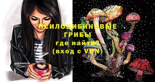 ПСИЛОЦИБИНОВЫЕ ГРИБЫ Армянск