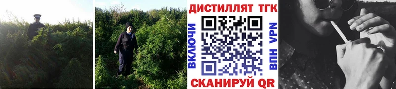 ТГК вейп  Купить закладки  Апатиты 