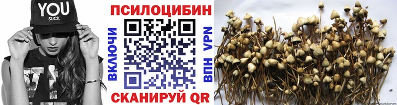 Галлюциногенные грибы мухоморы  Купить закладки  Апатиты 