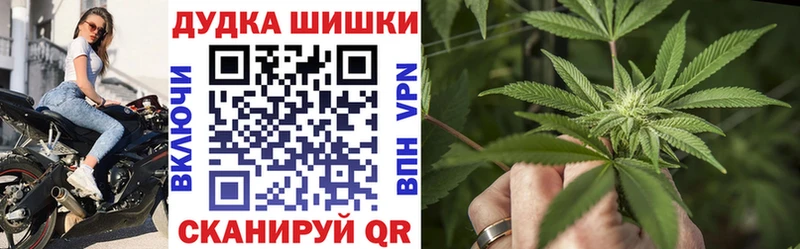 Купить где  Апатиты  Шишки марихуана план 